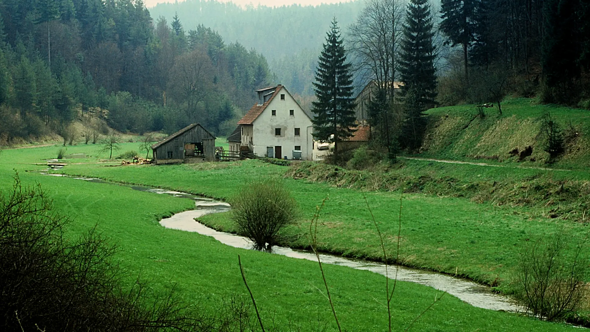 © Wolfgang Gurk