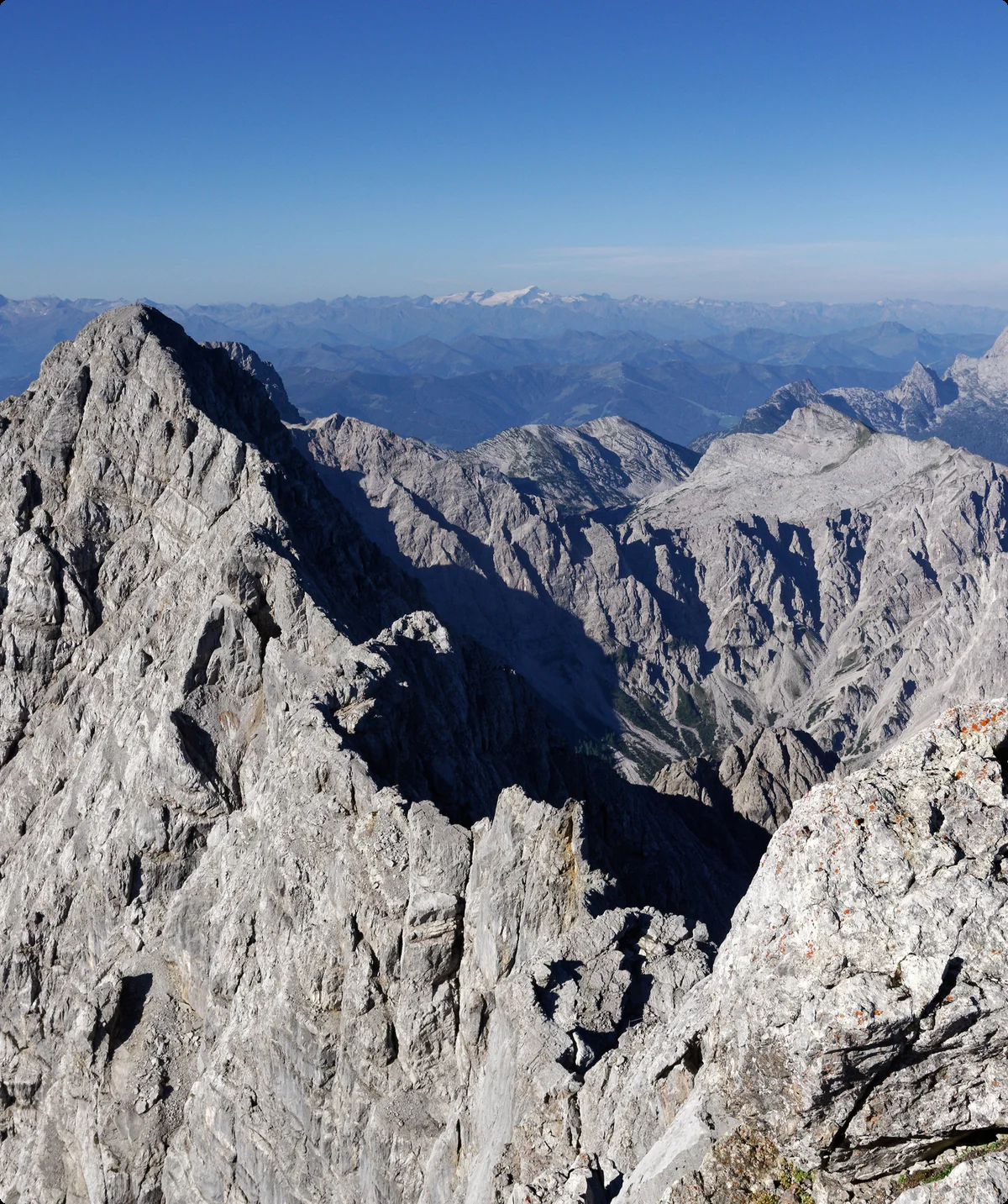 © Steffen Hoppe