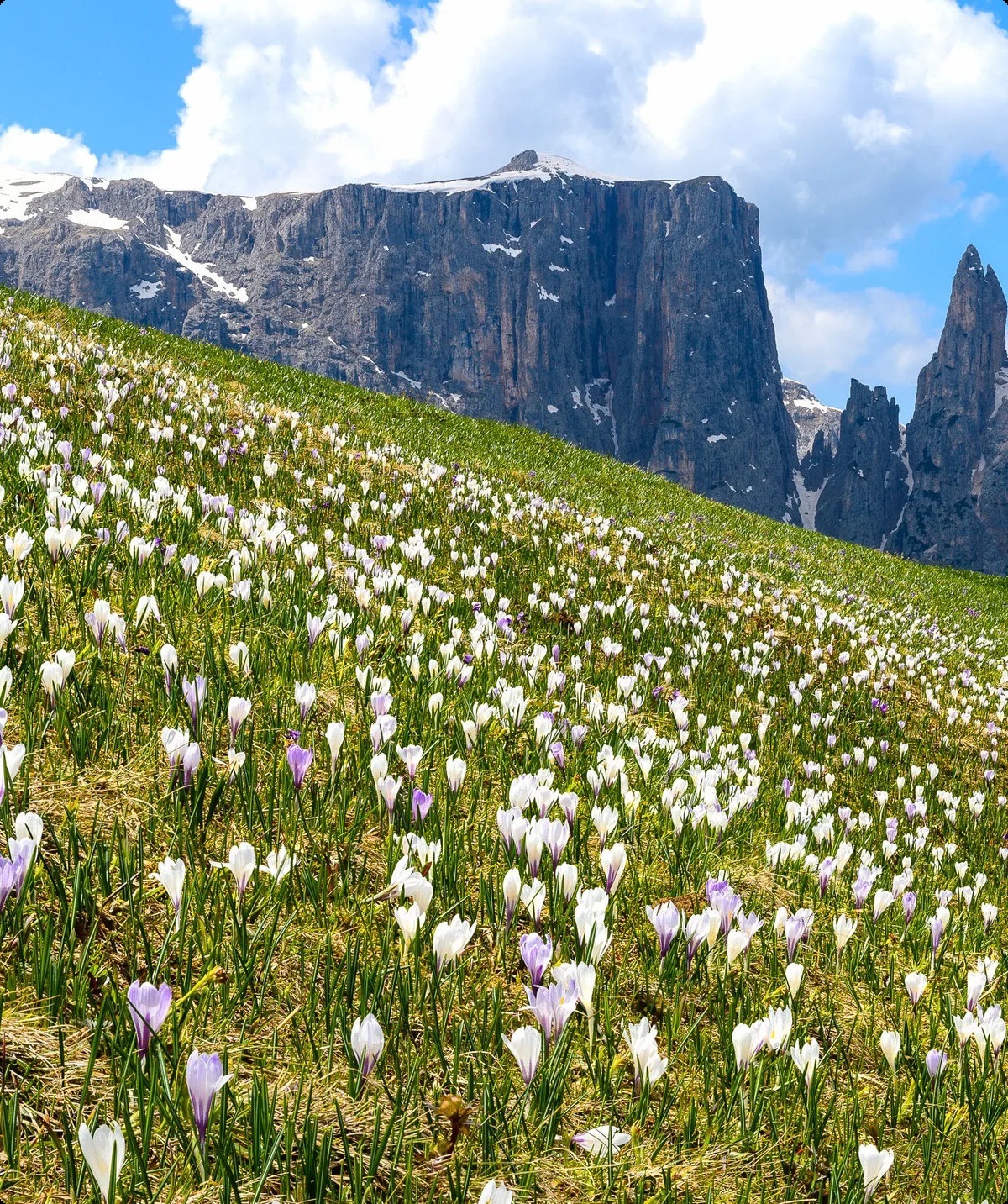 © Valentin Pardeller