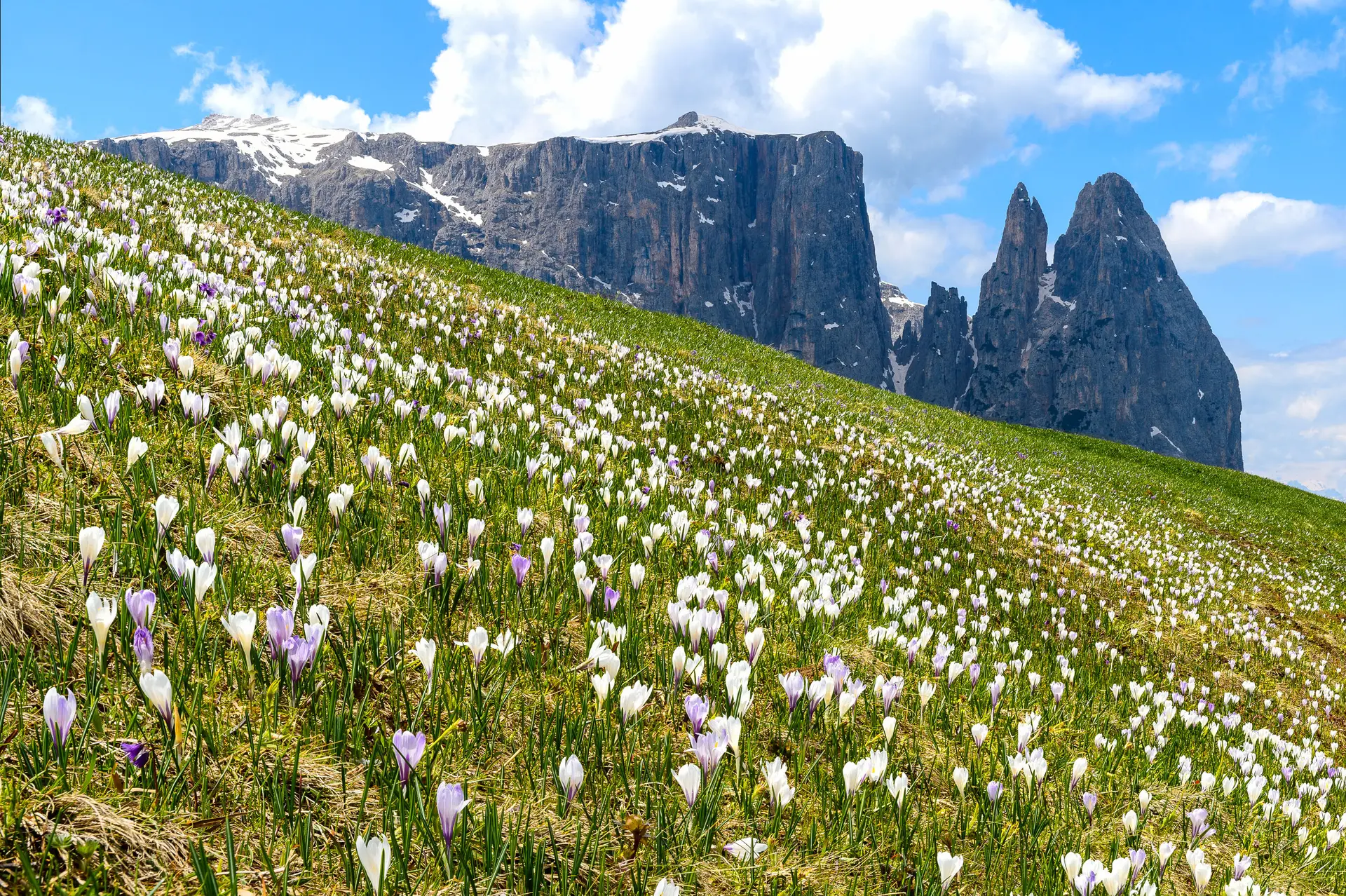 © Valentin Pardeller